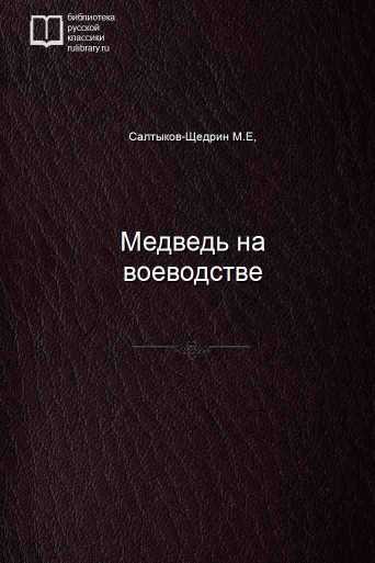 Медведь на воеводстве - обложка книги