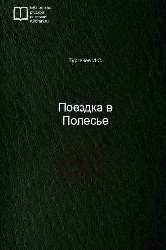 Поездка в Полесье - обложка книги